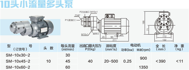 10头小流量多头泵01_副本.jpg