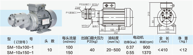 10头小流量多头泵02_副本.jpg
