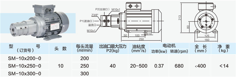 10头小流量多头泵03_副本.jpg