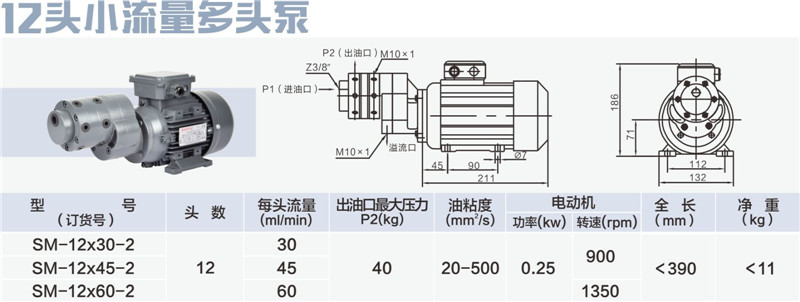 12头小流量多头泵-01_副本.jpg