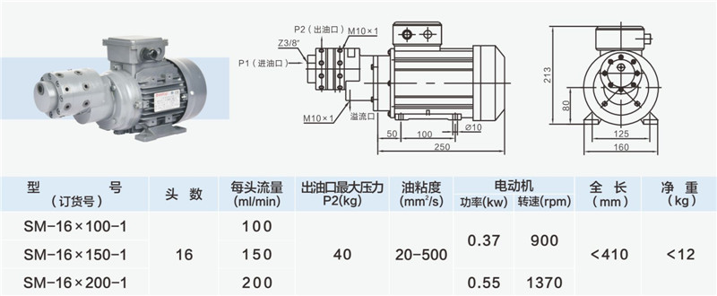 16头小流量多头泵-02_副本.jpg