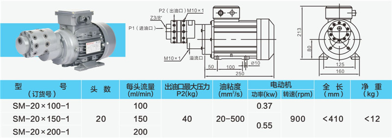 20头小流量多头泵-02_副本.jpg