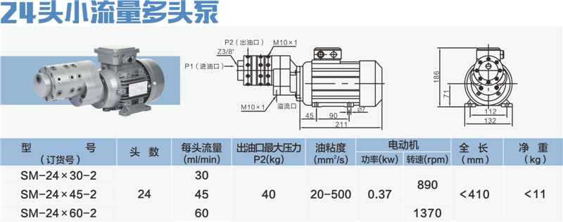 24头小流量多头泵-01_副本.jpg