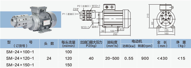 24头小流量多头泵-02_副本.jpg
