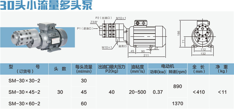 30头小流量多头泵-01_副本.jpg