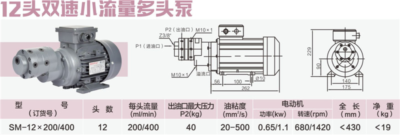 12头双速小流量多头泵_副本.jpg