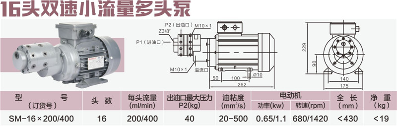 16头双速小流量多头泵_副本.jpg